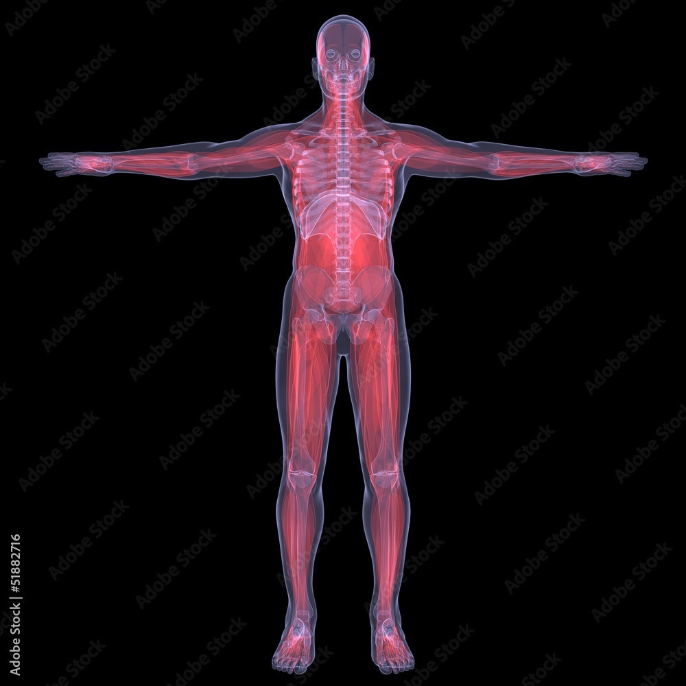 X-Ray picture of a person. Sore digestion
