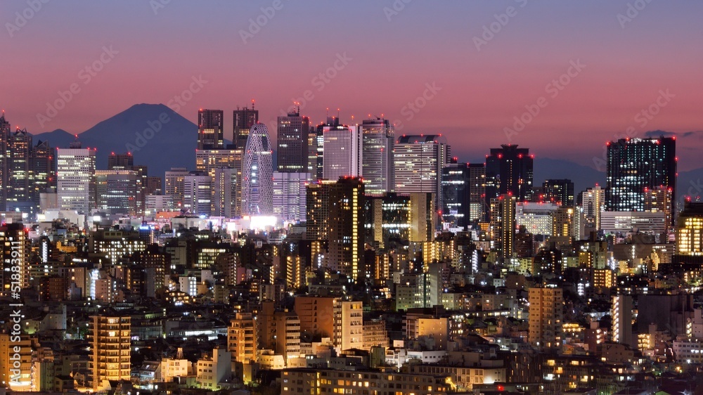 Naklejka premium Tokyo Skyline and Fuji Mountain