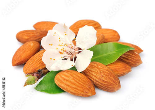 Almonds with leaves and flowers