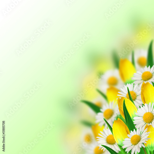 Bouquet of daisies and tulips