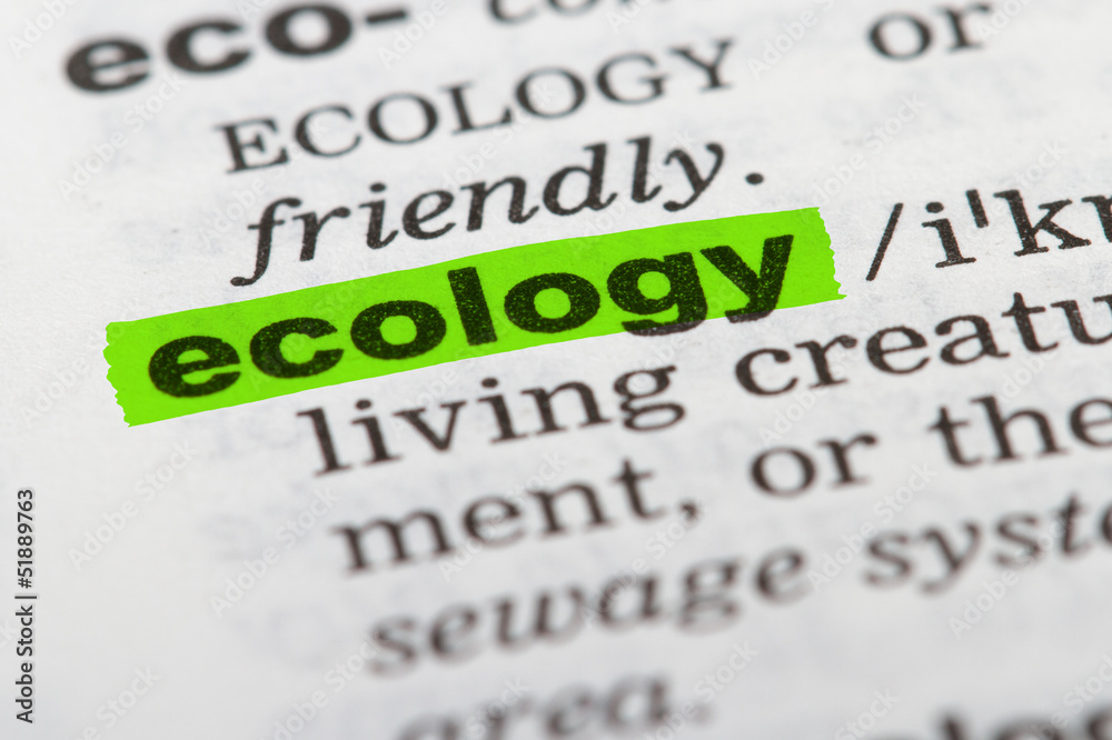 Fototapeta premium Word Ecology in Dictionary