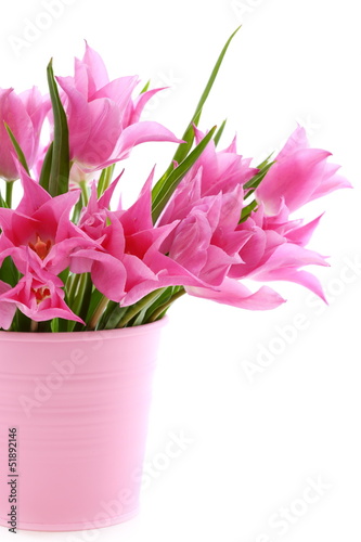 Fototapeta Naklejka Na Ścianę i Meble -  Beautiful pink tulips in a bucket.