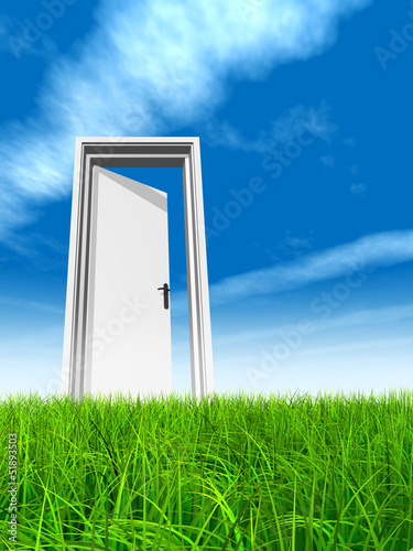 Conceptual white door in grass