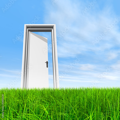 Conceptual white door in grass
