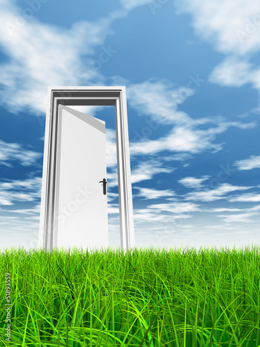 Conceptual white door in grass