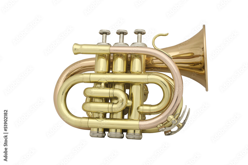 Obraz premium trumpet