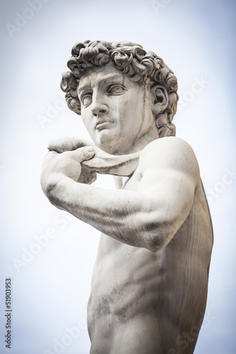 Busto del David di Michelangelo