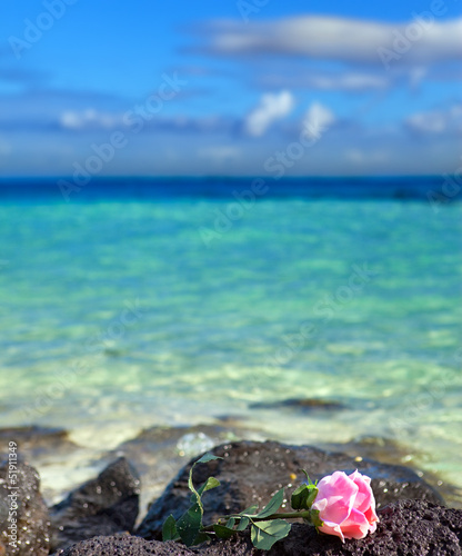 The rose lies on stones on the sea background