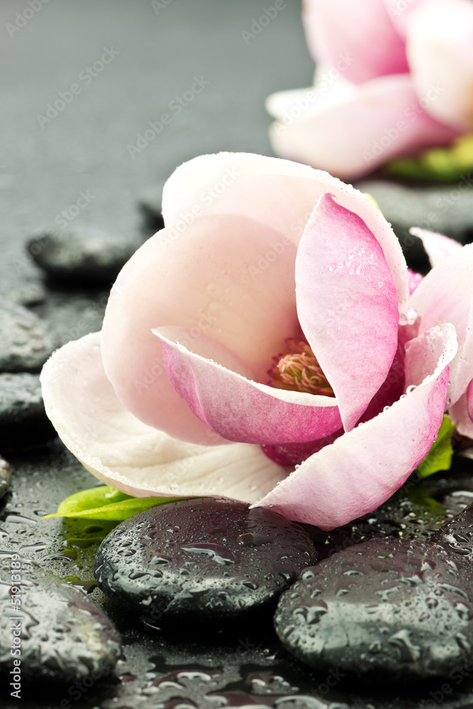 Naklejka premium Magnolia z kamieniami do spa