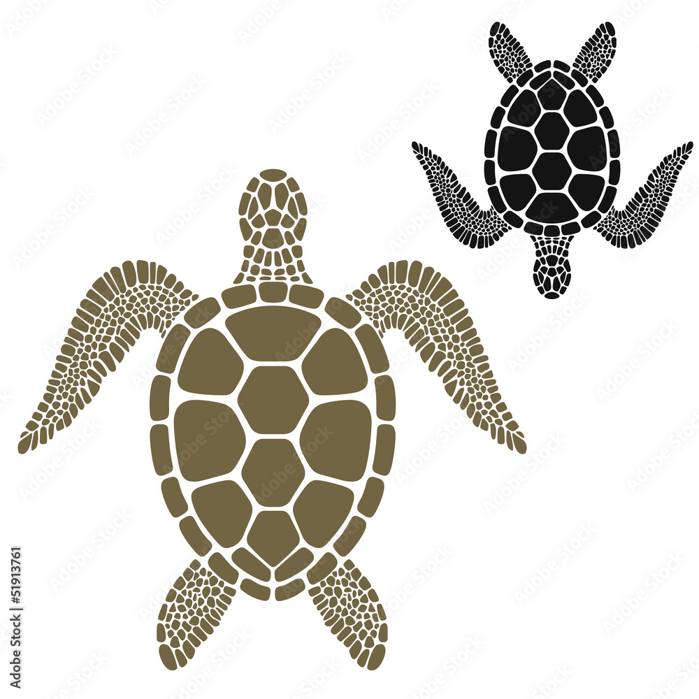 Naklejka premium Turtle