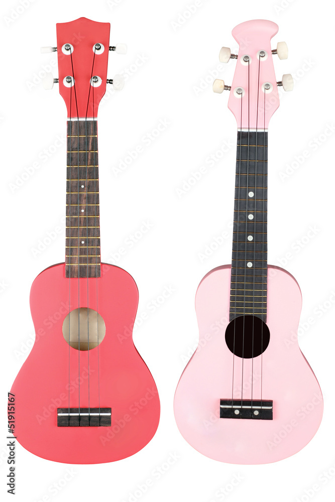 Obraz premium hawaiian guitar