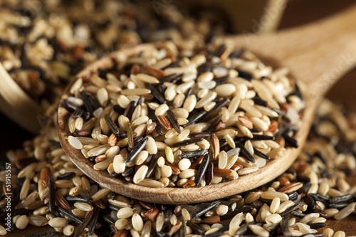 Organic Dry Multi Grain Rice photo