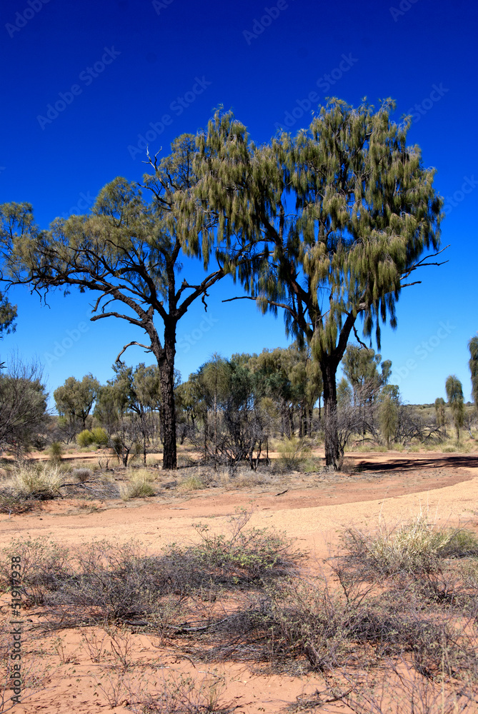 Fototapeta premium Australian Outback