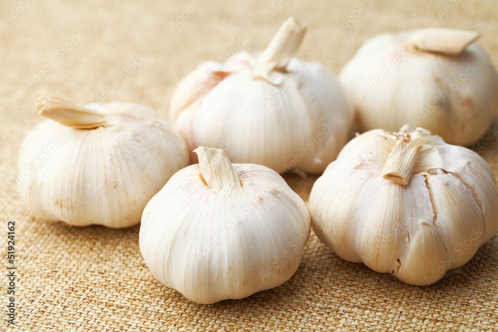 Garlic