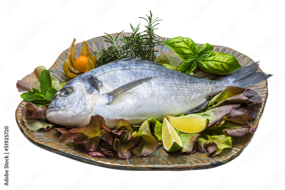Fresh raw dorada Fresh raw dorada