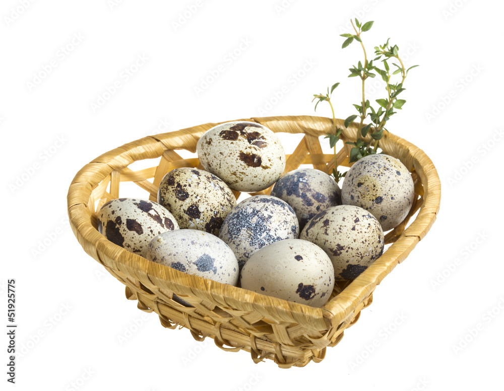 quail eggs in a basket quail eggs in a basket