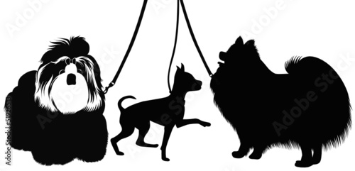 Dogs at the exhibition vector