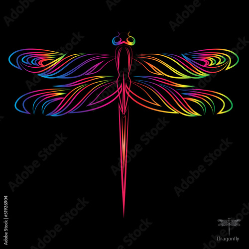 Vector image of an dragonfly on black background