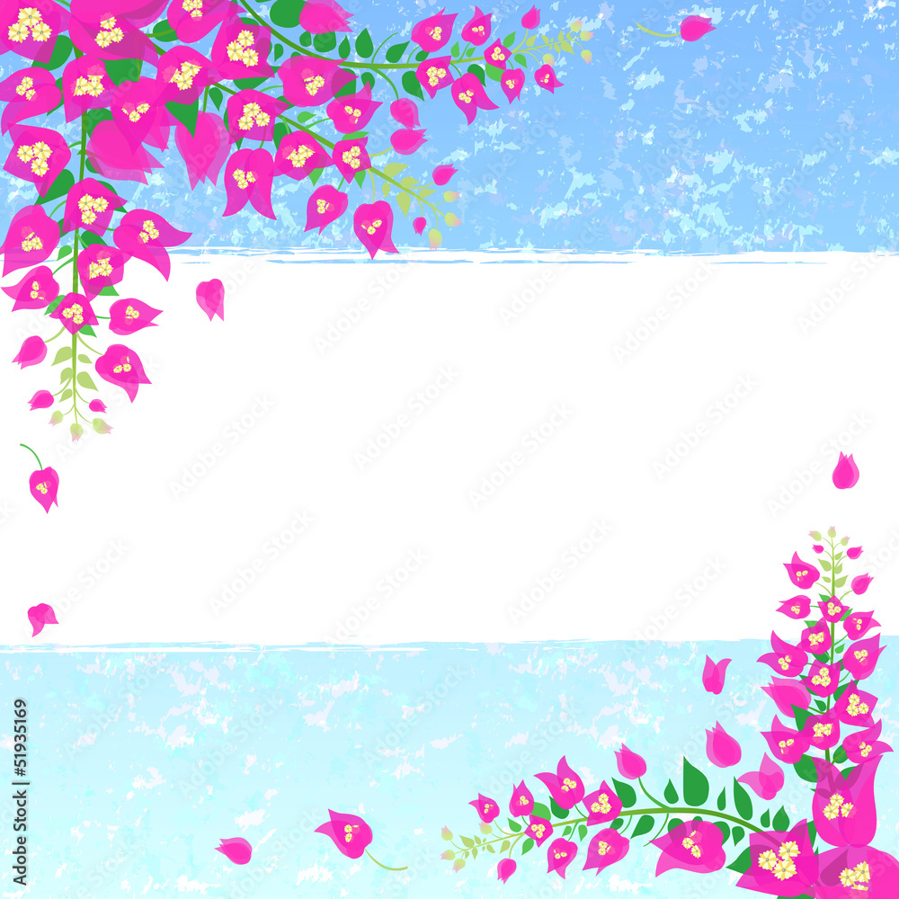 Tropical Flowers Tropical Flowers