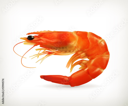 Shrimp