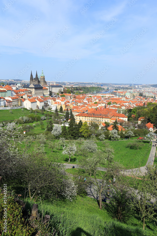 Spring Prague with gothic Castle and green Trees, Czech Republic
