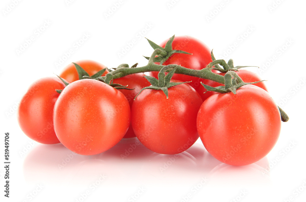 Cherry tomatoes on a branch isolated on white Cherry tomatoes on a branch isolated on white