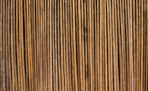 Fototapeta Naklejka Na Ścianę i Meble -  Bamboo Wall
