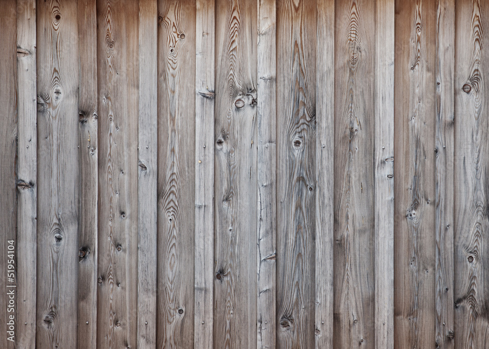 Fototapeta premium Holz