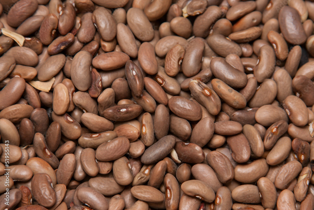 beans close-up beans close-up