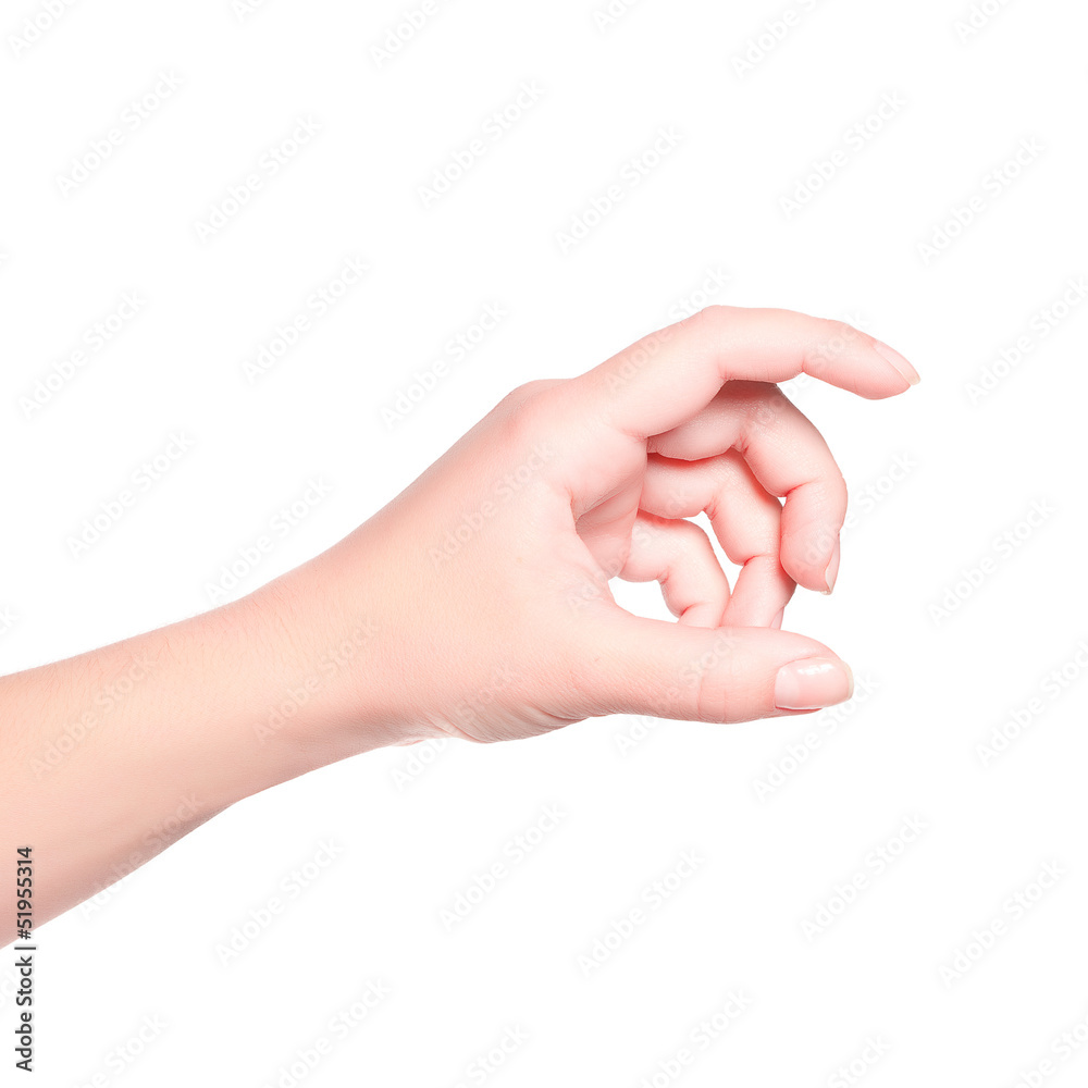 woman's hand woman's hand