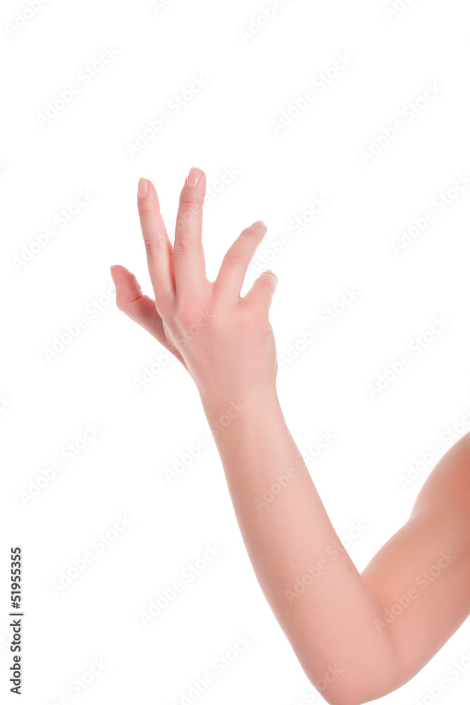 woman's hand woman's hand