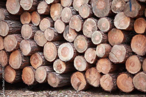pile of wooden logs - close up