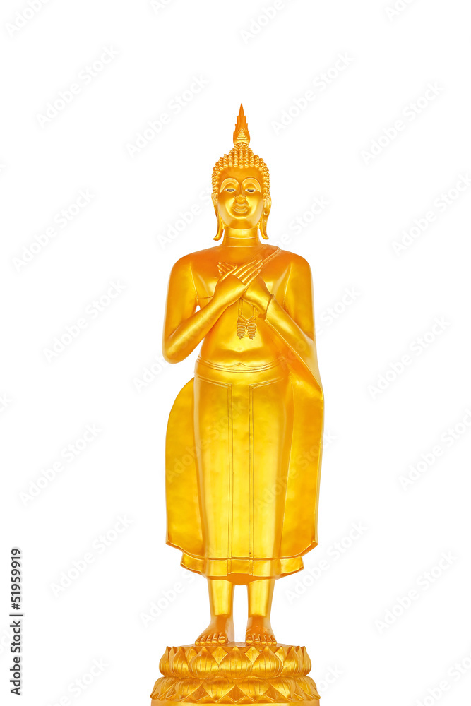isolated buddha statue