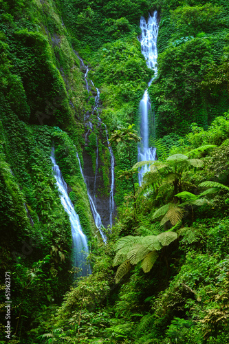 Fototapeta Naklejka Na Ścianę i Meble -  Madakaripura  Waterfall, East Java, Indonesia
