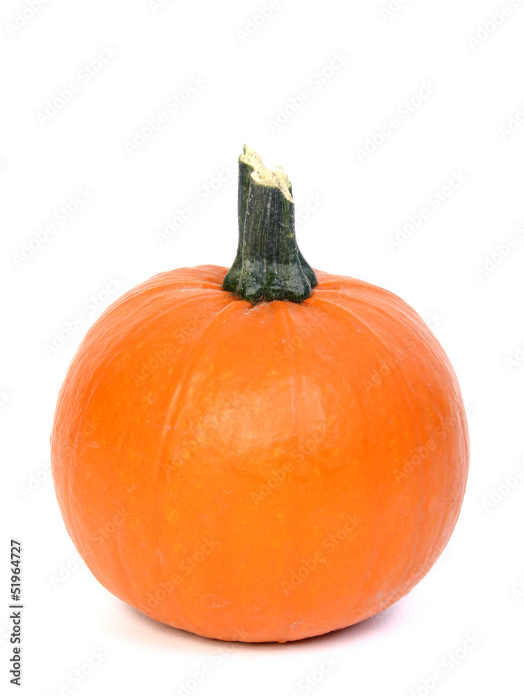 Obraz premium pumpkin isolated