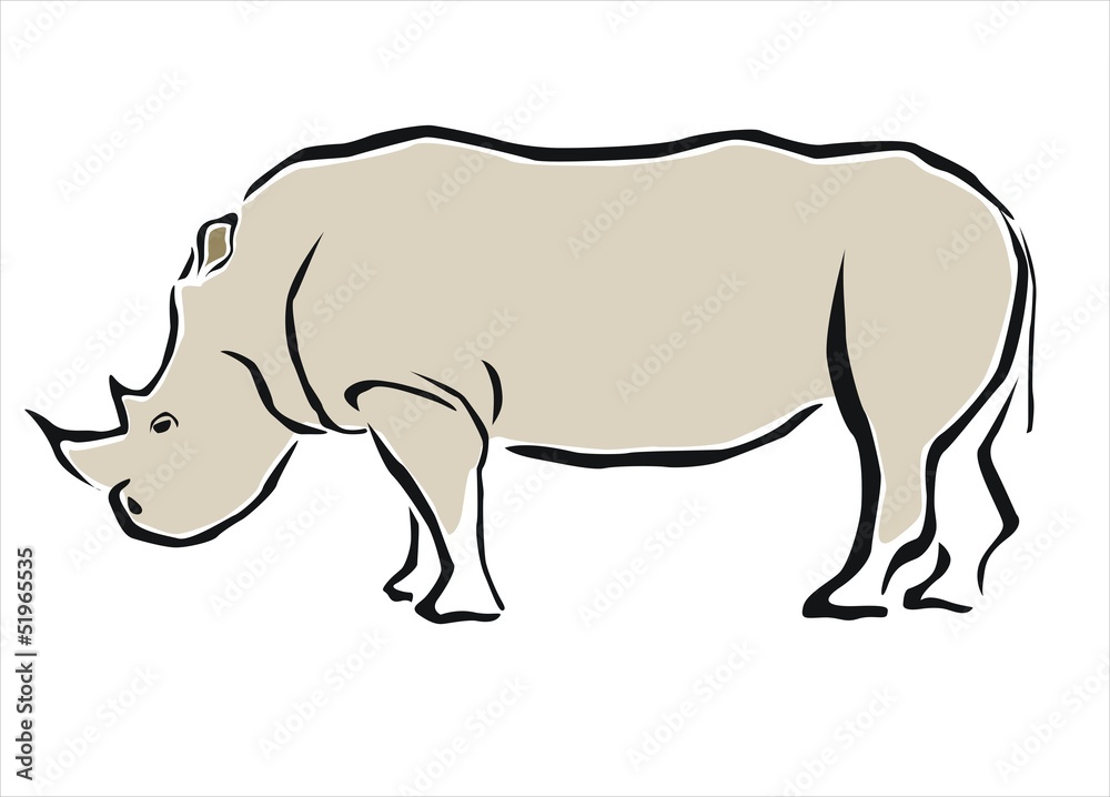 rinoceronte 2