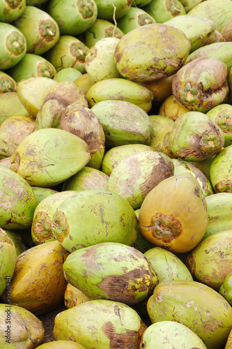 Assorted green coconuts photo