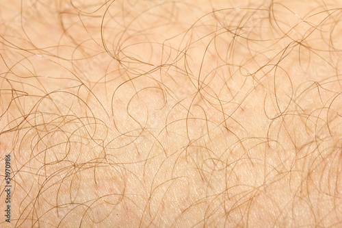 background of the hair on his leg. macro