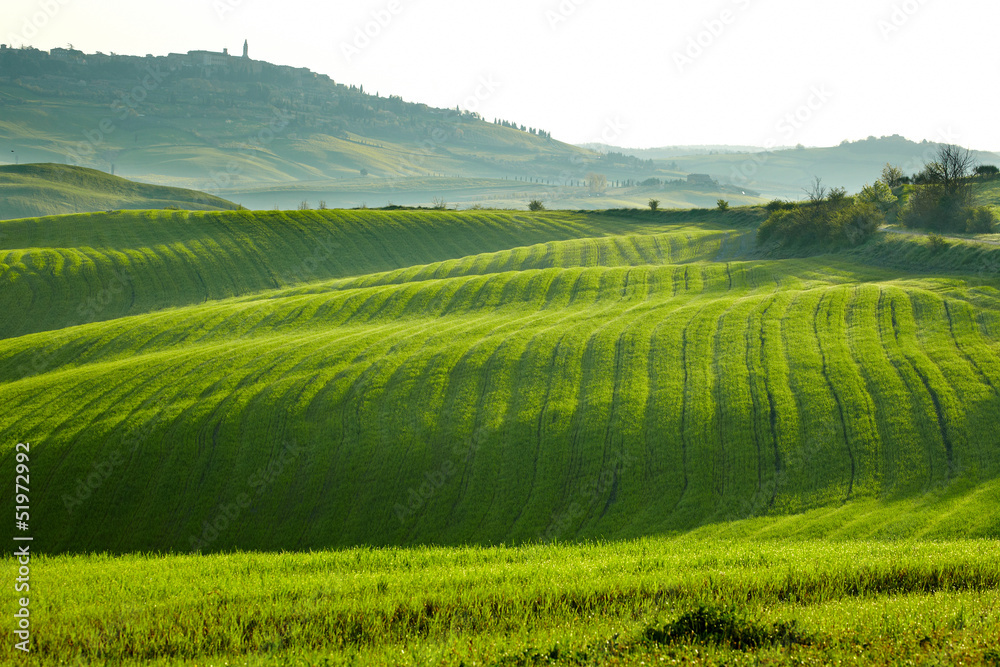 Countryside, San Quirico´Orcia , Tuscany, Italy