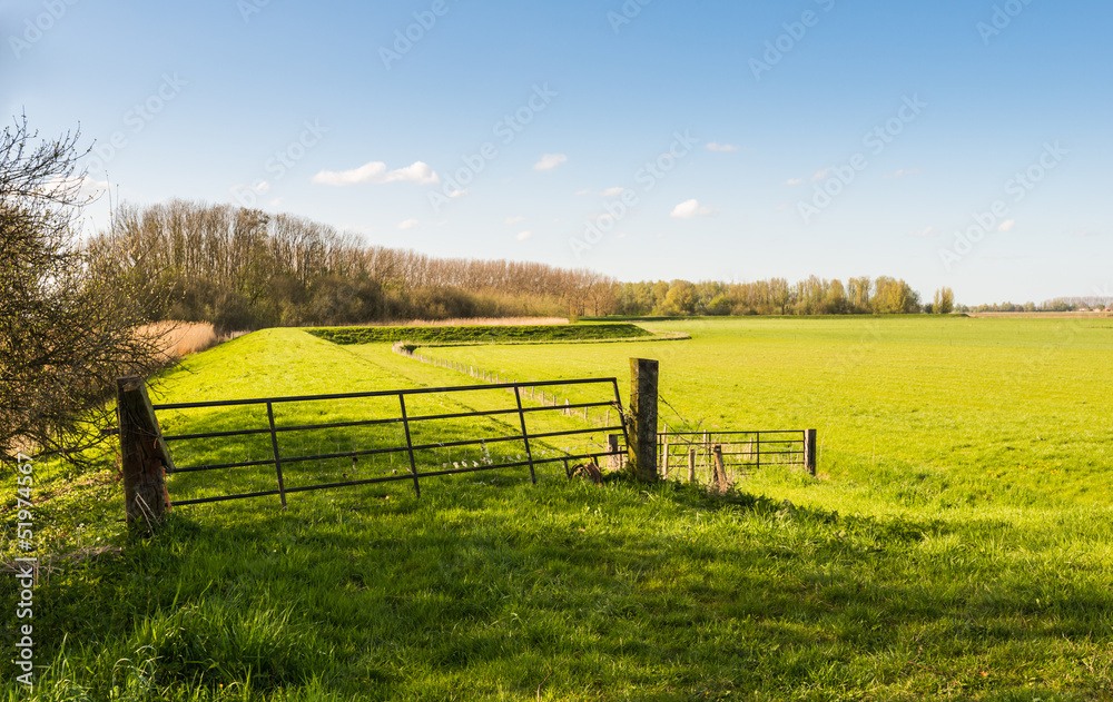 Dutch landscape with a crooked iron gate