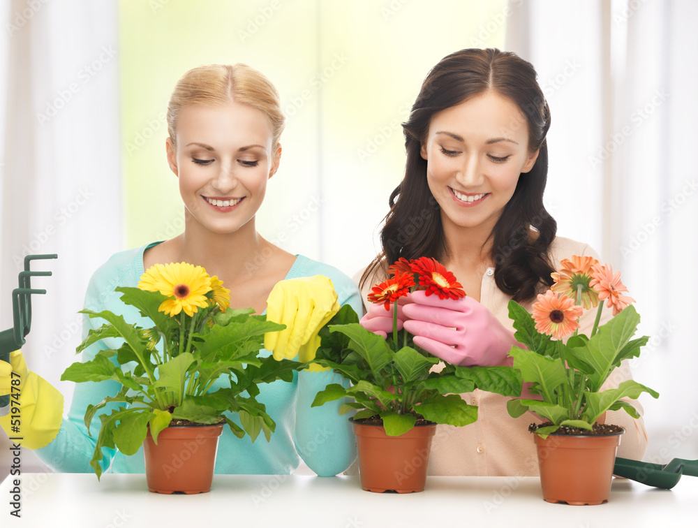 housewife with flower in pot and gardening set housewife with flower in pot and gardening set
