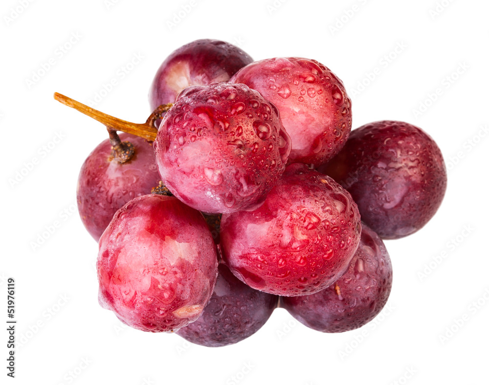 Obraz premium red grape