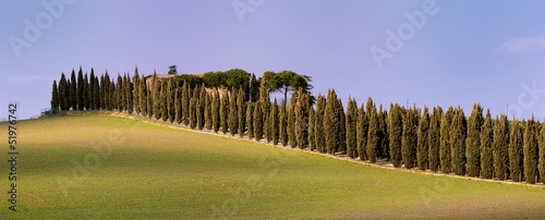 Country Aveneu (Tuscany) photo