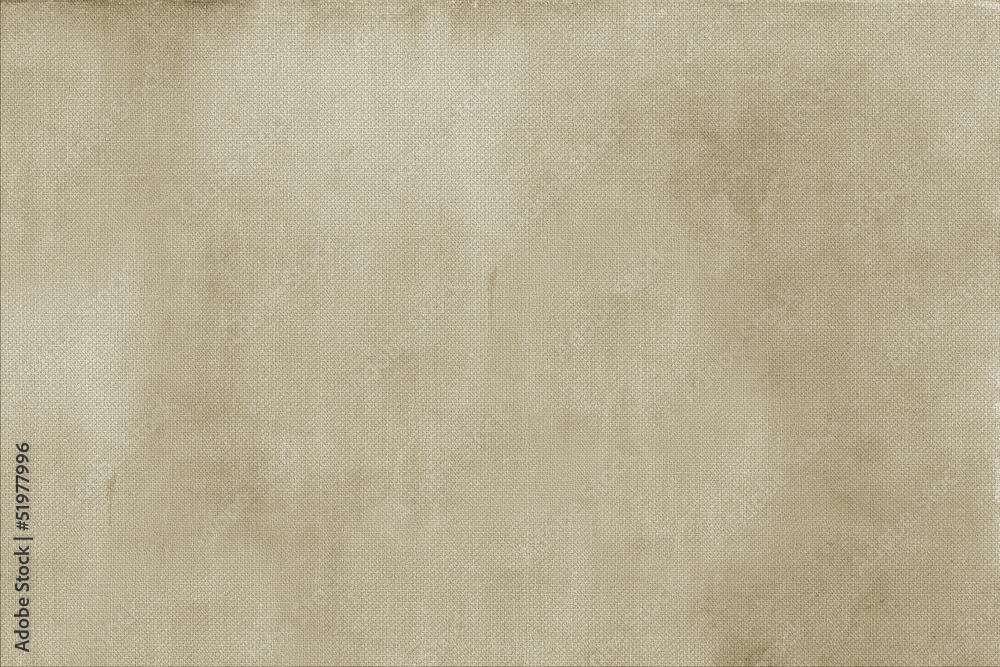 Fototapeta premium Light Canvas Background