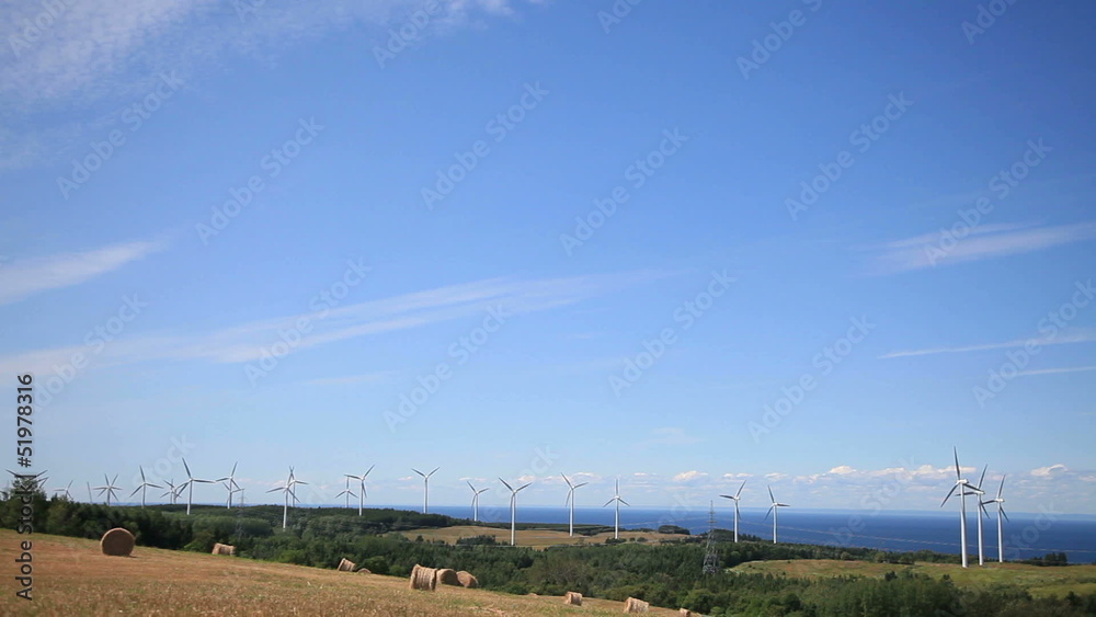 Wind Turbine and field