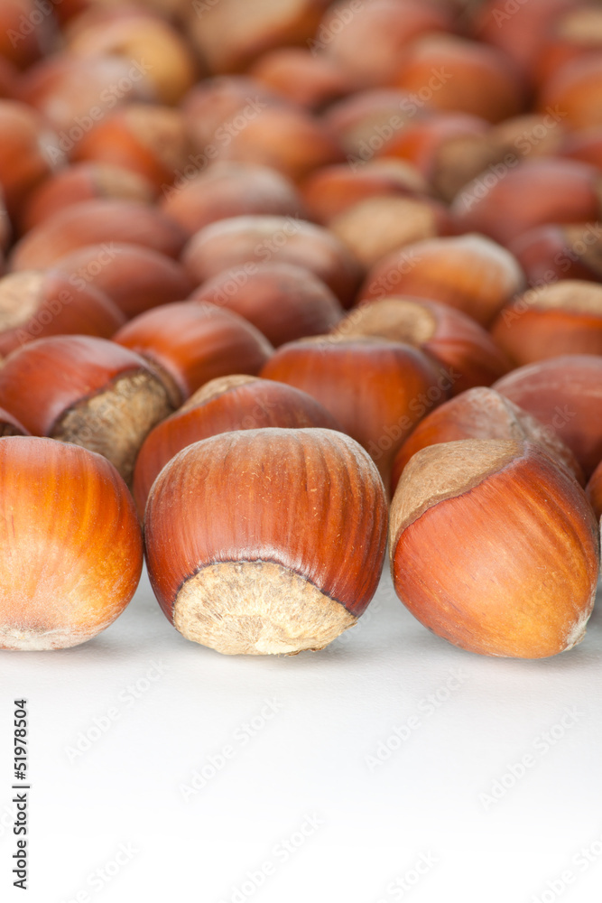 Unbroken hazelnuts on white surface Unbroken hazelnuts on white surface