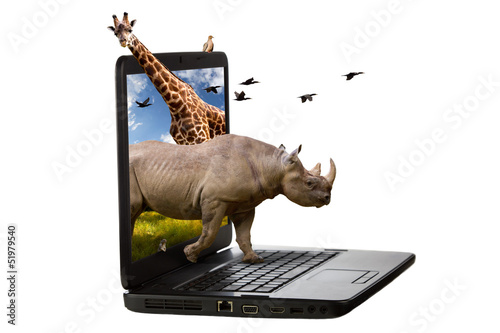 Animals Coming Out of a Laptop Screen