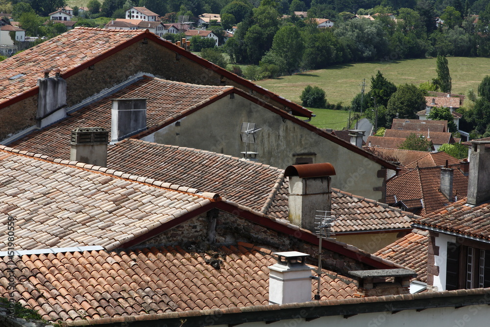 roofs with chimneys of small town