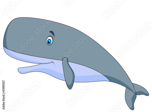 Cute sperm whale cartoon