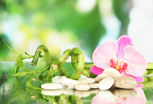 Fototapeta Naklejka Na Ścianę i Meble -  Still life with green bamboo plant, orchid and stones,